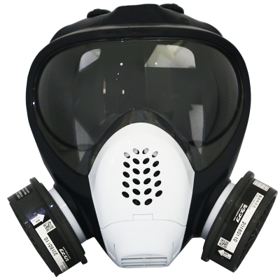 Double cartridge mask